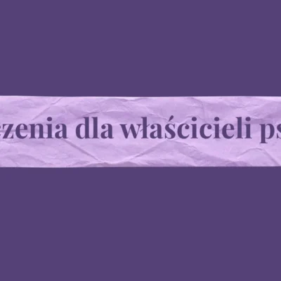 Fioletowa grafika z napisem "Życzenia dla właścicieli psów"